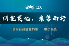 《供應鏈智能化轉(zhuǎn)型，以大驅(qū)動》—— 電子商務篇